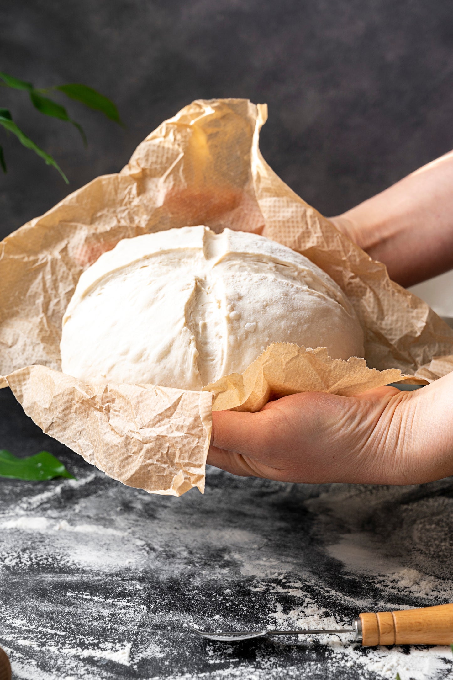 Bread Lame (with 15 blades) - KitchenEnvy
