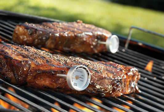Steak Thermometers, Set of 4 - KitchenEnvy