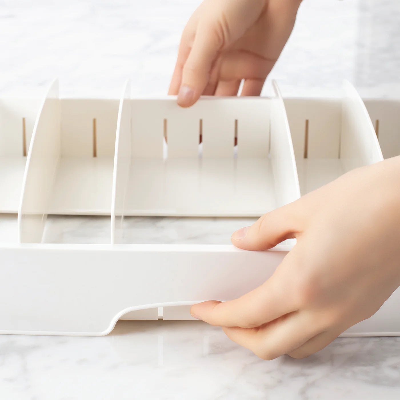 STORALID Container Lid Organizer