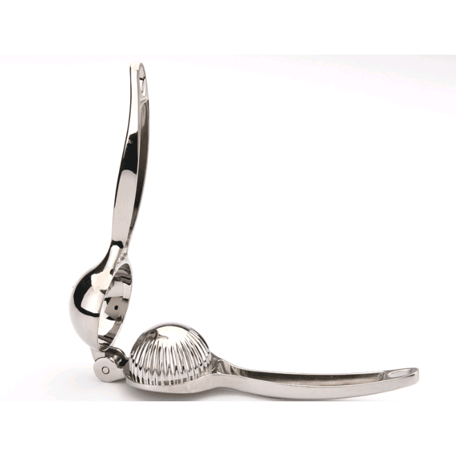 KitchenEnvy Stainless Steel Juicer - KitchenEnvy