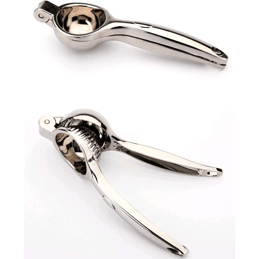 KitchenEnvy Stainless Steel Juicer - KitchenEnvy