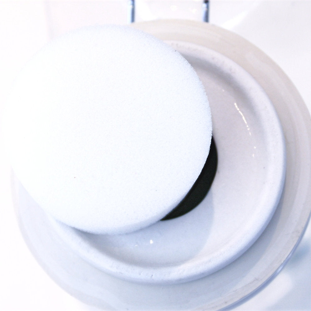 SugarBaby SugarBaby - Replacement Sponge - KitchenEnvy