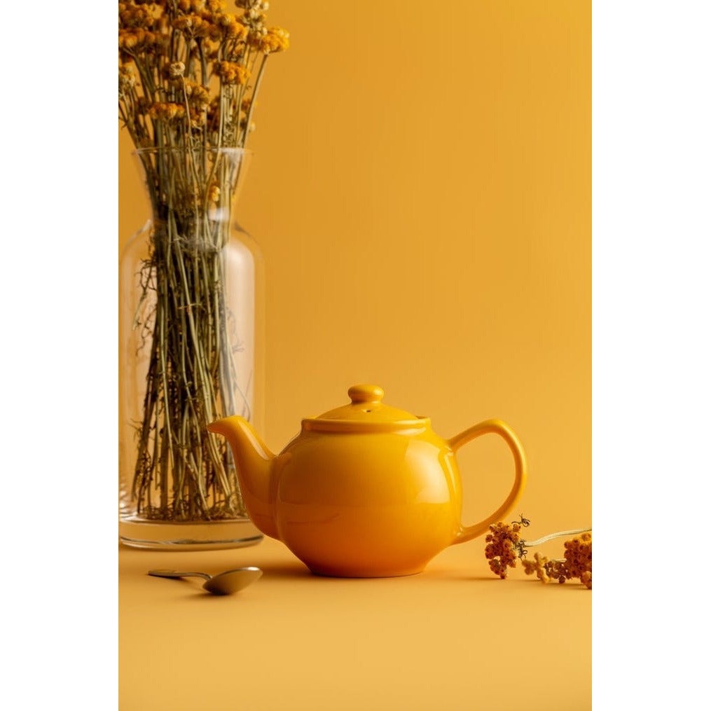 PRICE & KENSINGTON BRIGHTS Teapot 2cup - KitchenEnvy