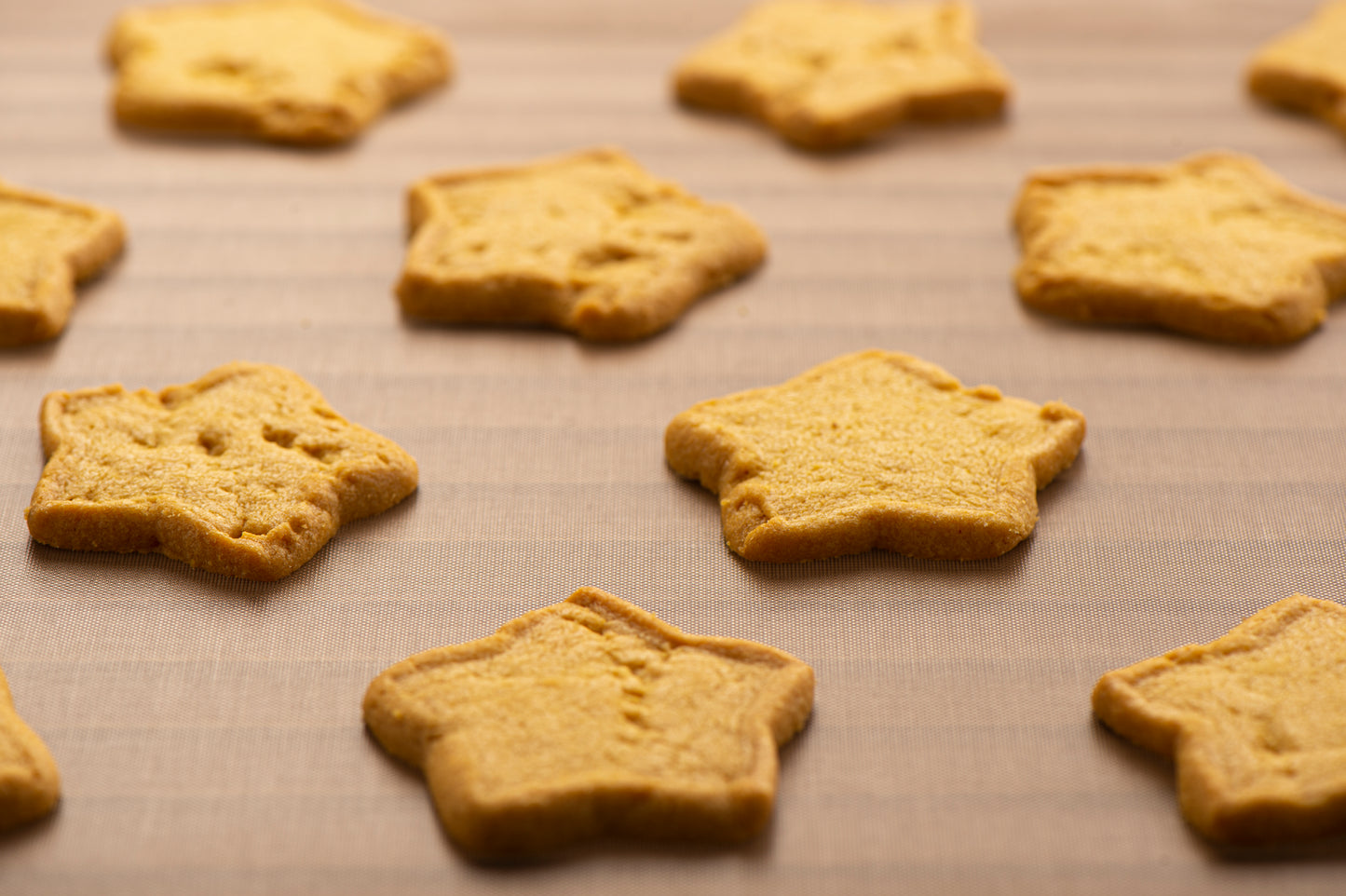 Bake Pan Liner - NOSTICK