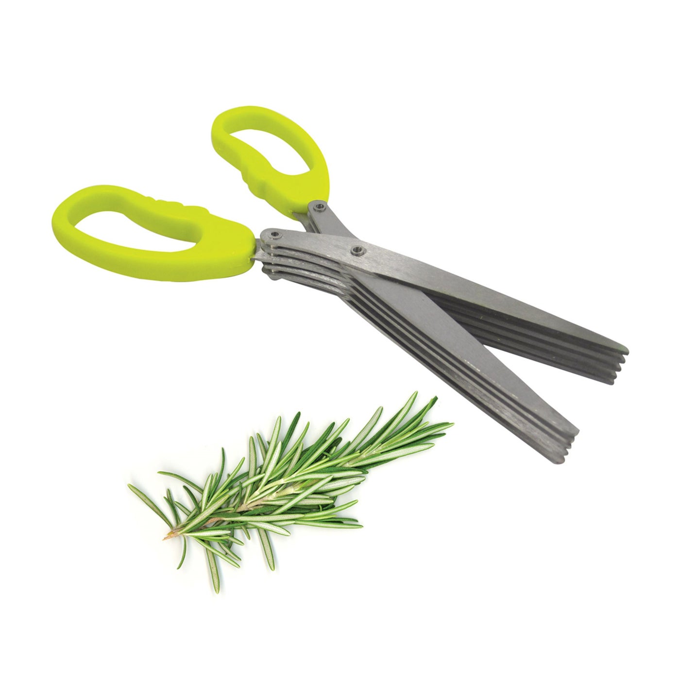 KITCHEN BASICS Herb Scissors w/5 SS Blades Green - KitchenEnvy