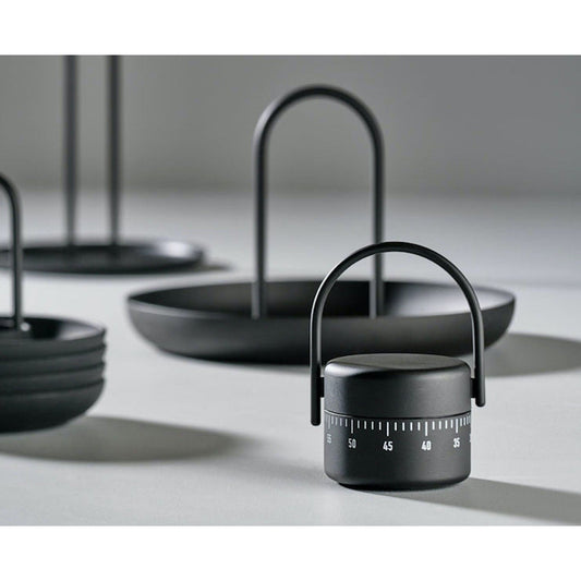 ZONE SINGLES Timer - KitchenEnvy